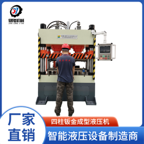 按需定制 200噸伺服四柱鈑金液壓機(jī)